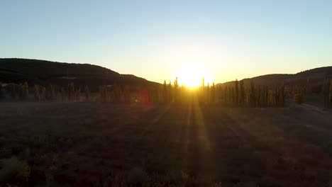 sunset over a valley with trees