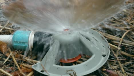 Garden-sprinkler,-watering-the-garden