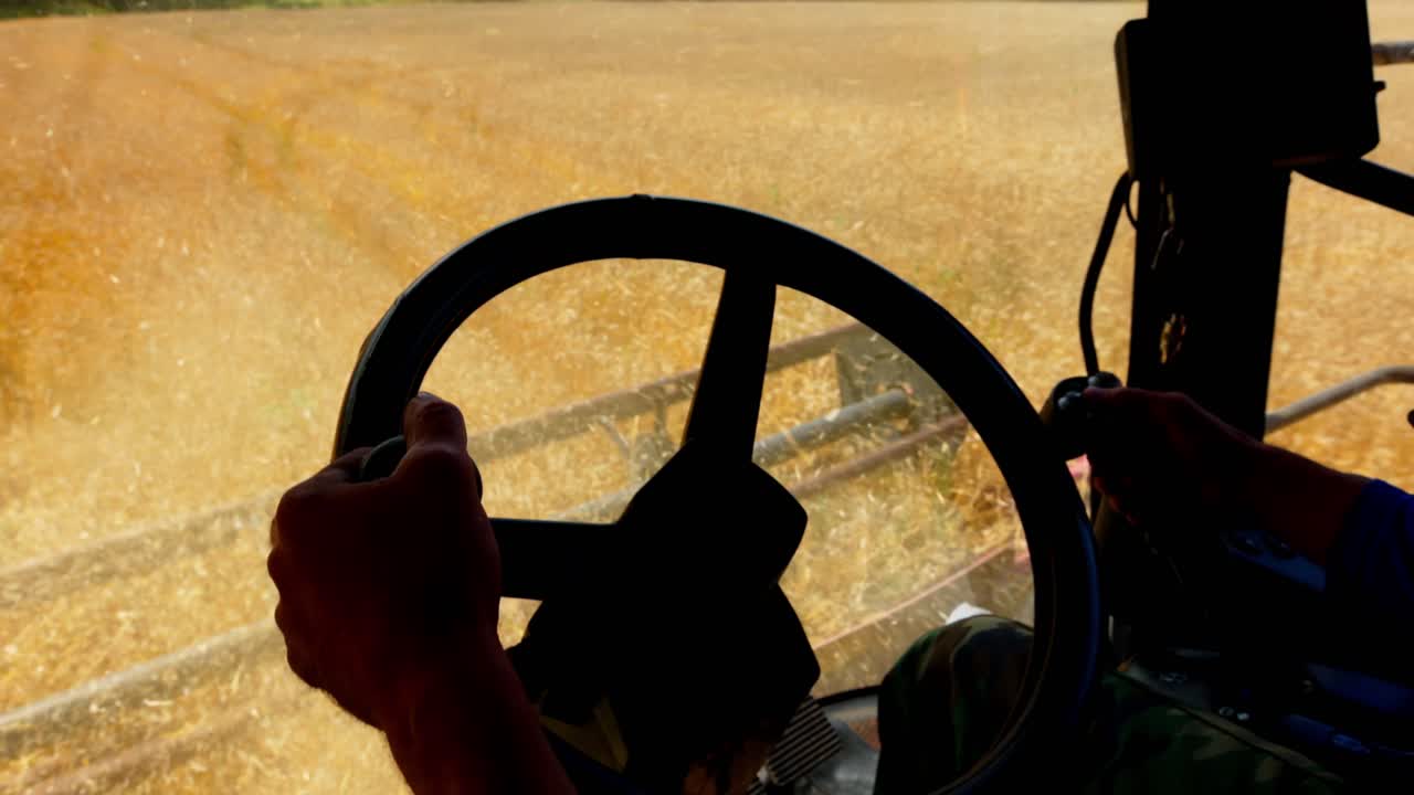 Farmer Harvesting Wheat in a Combine