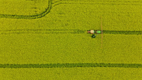 El-Rociador-Agrícola-Dejó-De-Funcionar-En-Un-Campo-De-Colza-Amarillo-El-Agricultor-Sale-Del-Tractor-Para-Revisar-El-Equipo-Y-Los-Brazos-De-Rociado,-Deslizando-La-Vista-De-Arriba-Hacia-Abajo