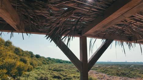 a peaceful escape into nature at al zorah mangrove in ajman, uae, where birds and marine life flourish.