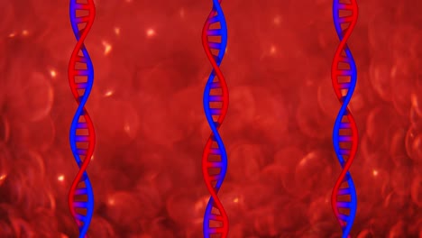 animation of dna strands on red background