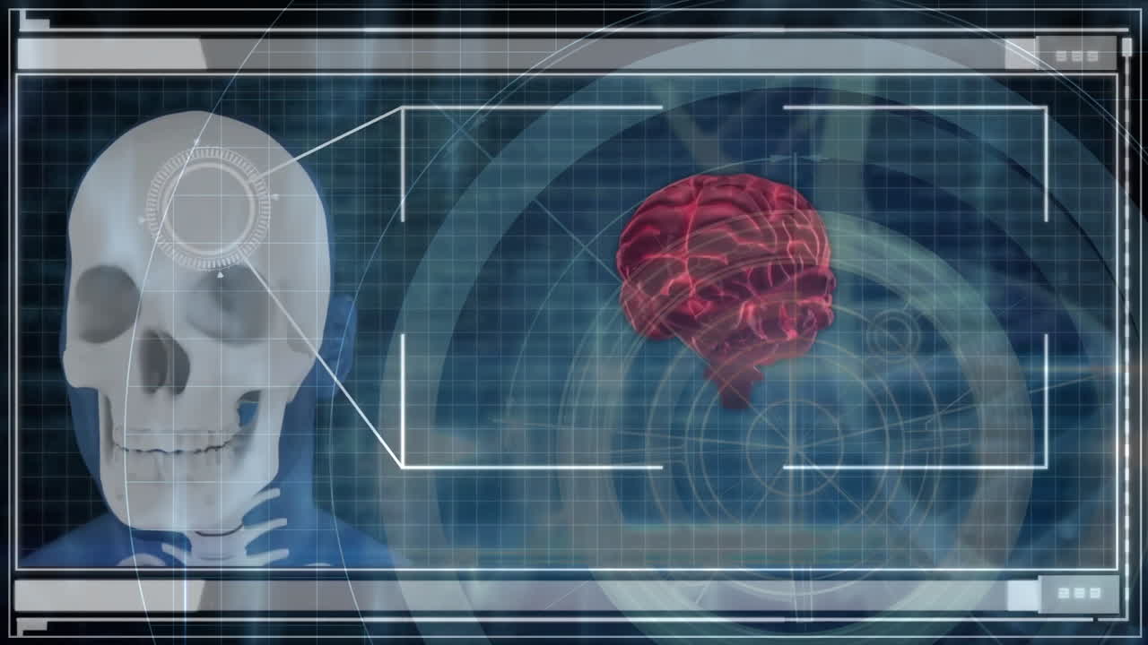 Displaying animation of human skull and brain scan with digital overlay
