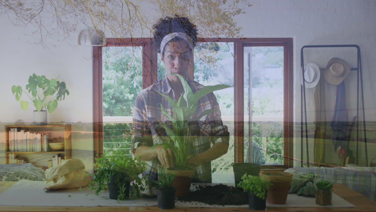 Tending potted plants, person in animation overlay with nature scene at home