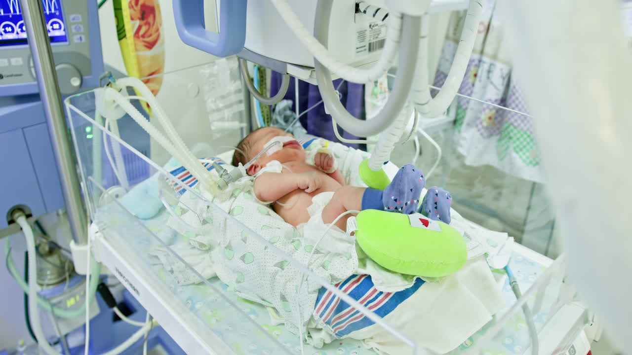 Premature Infant in Neonatal Intensive Care Unit