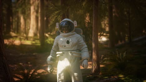 Einsamer-Astronaut-Im-Dunklen-Wald