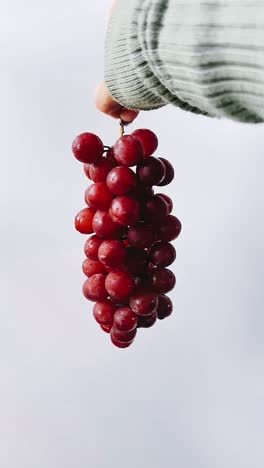 mano sosteniendo un ramo de uvas rojas