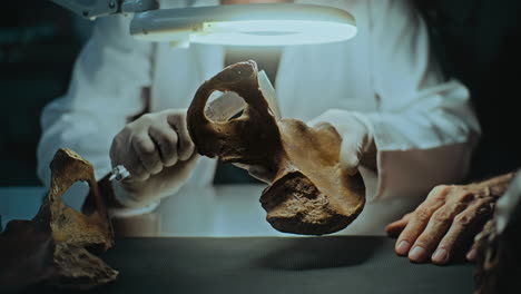 archaeologist examining a fossil hip bone