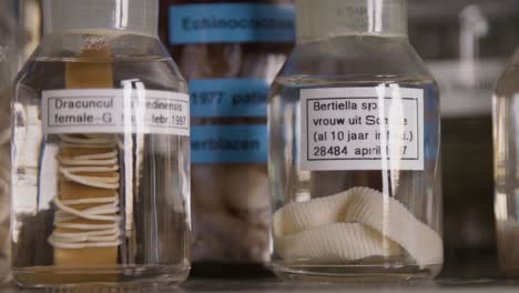 macro shot of a preserved parasitic worm in a glass jar, labeled and archived in a scientific environment.