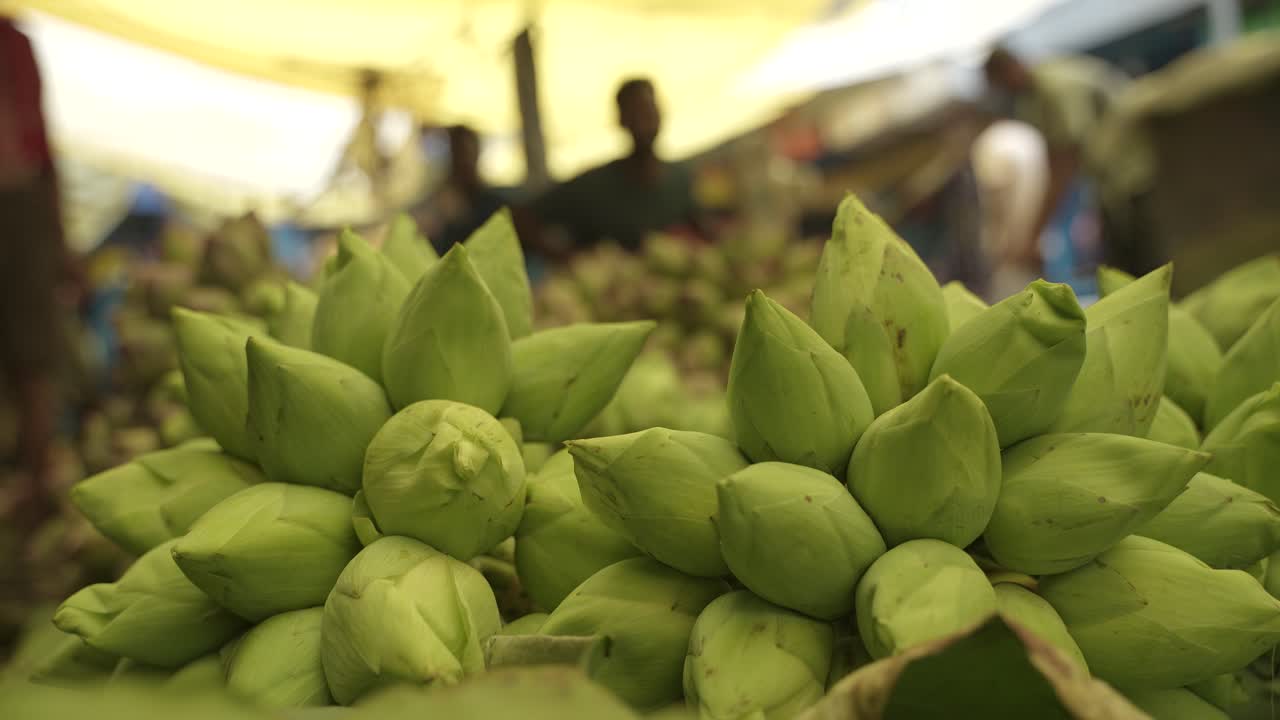 Bundles of Green Lotus Buds at a Market