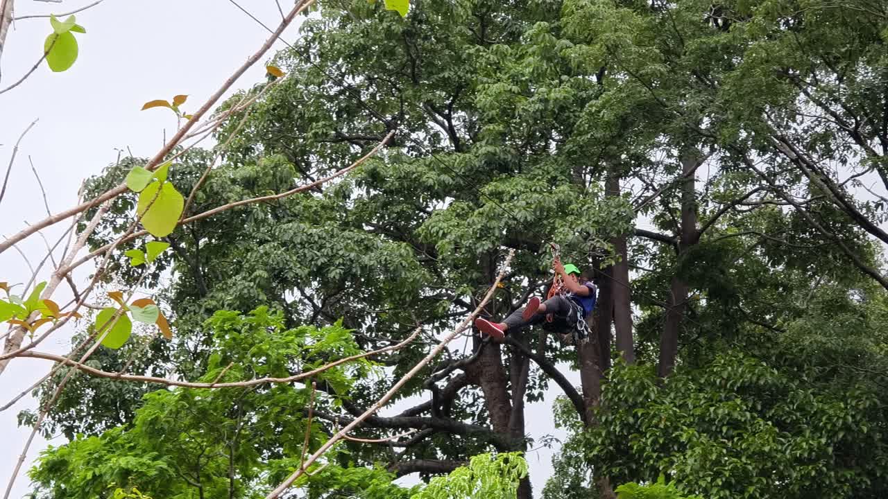 Ziplining Adventure in a Forest