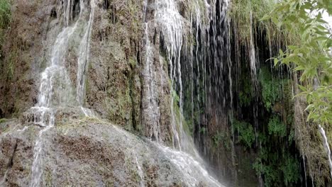 Pared-De-Roca-Calcárea-Con-Formaciones-De-Diferentes-Formas-Cubiertas-De-Musgo,-Líquenes