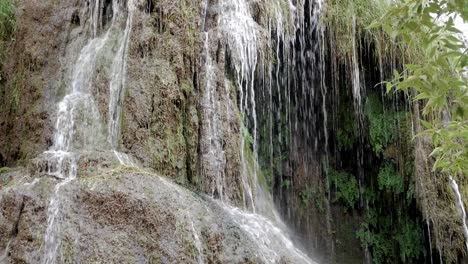 pared de roca calcárea con formaciones de diferentes formas cubiertas de musgo, líquenes