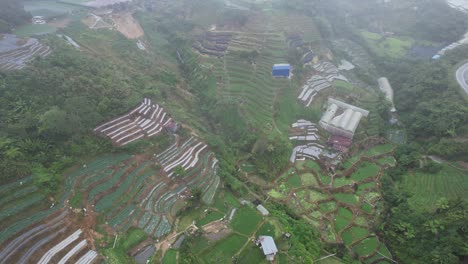 vista general del paisaje del distrito de brinchang dentro del área de cameron highlands de malasia