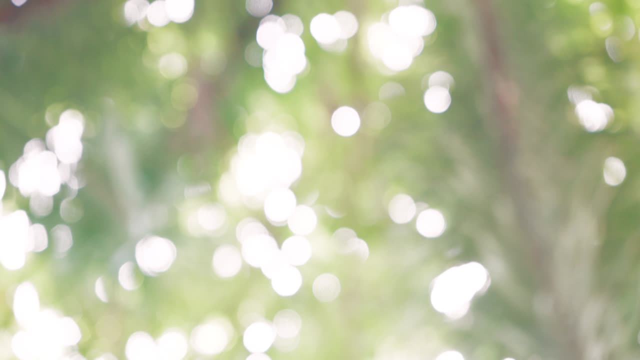 fondo de árbol abstracto de bokeh