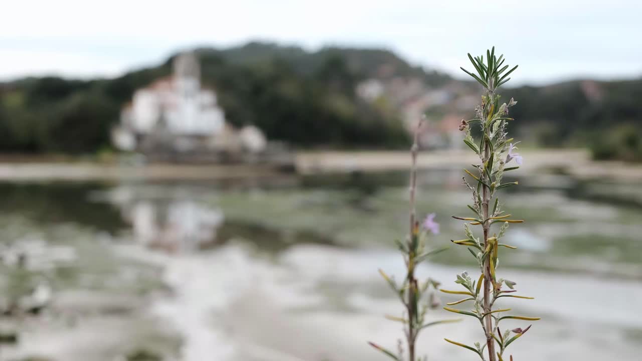 구름이 많은 날 평화로운 강변에 있는 교회