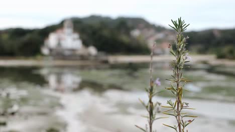 church on peaceful river shore on cloudy day