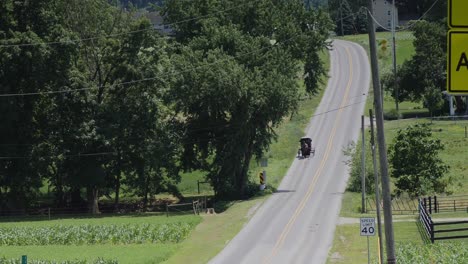 un caballo amish y un buggy recorriendo la carretera en el campo