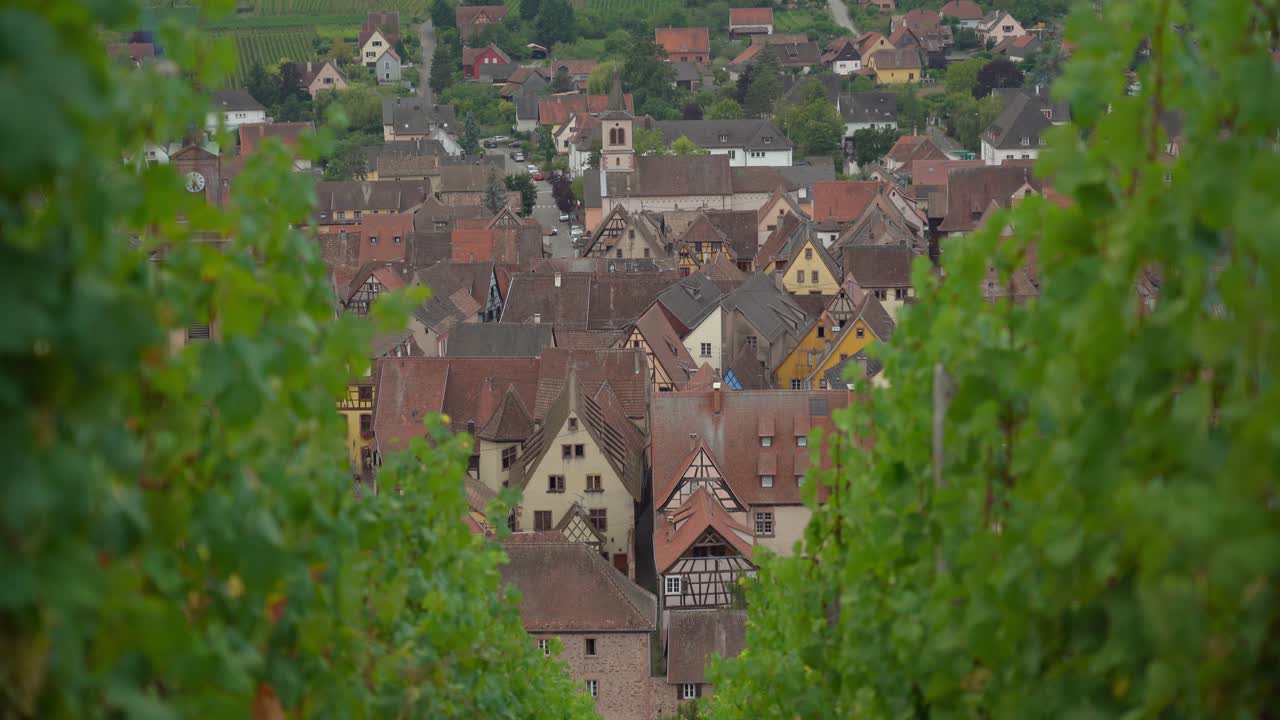 ricewihr는 이제 포도나무로 둘러싸인 도시 성벽 뒤에서 그 진정한 성격을 보존하는 데 성공했습니다.