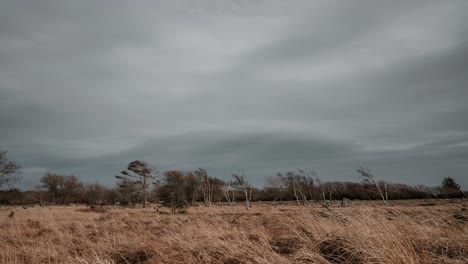 Time-lapse-video-of-landscape-in-Faerder-National-Park-in-Norway-in-stormy-weather