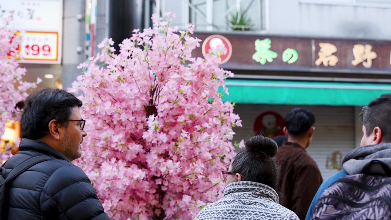 Pedoni passano accanto a vivaci fiori di sakura rosa su una trafficata strada urbana a Tokyo, Giappone