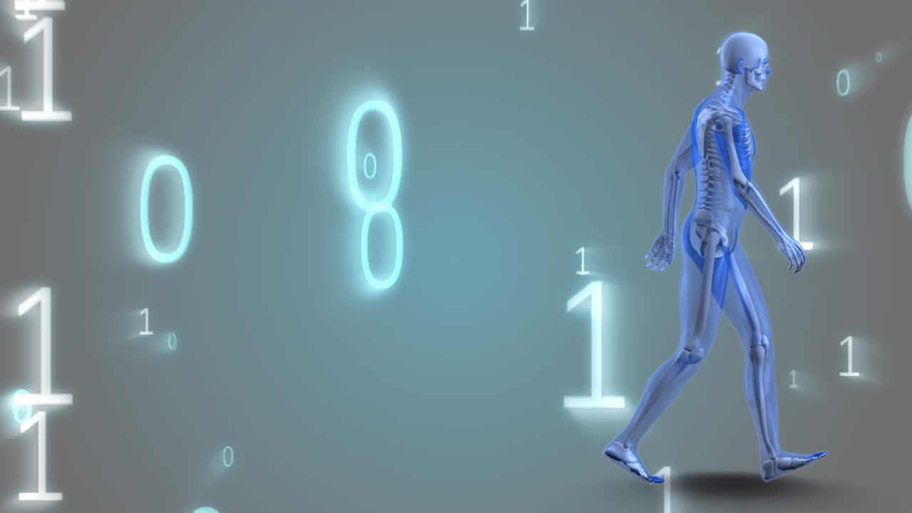 anatomía humana y números binarios