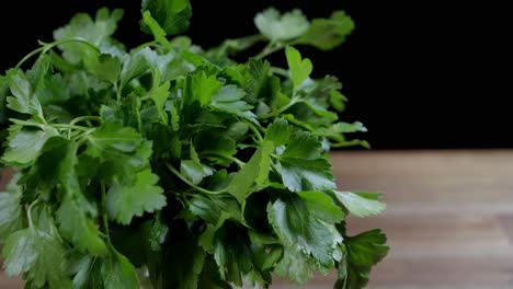 green and fresh bundle of parsley, key ingredient in crafting chimichurri, argentine sauce