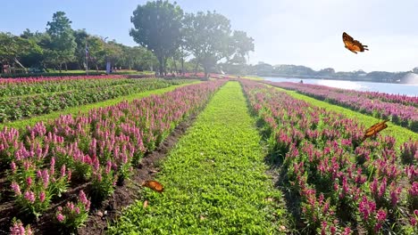 butterflies gracefully flutter across colorful flower fields under bright sunlight, creating a serene and lively atmosphere