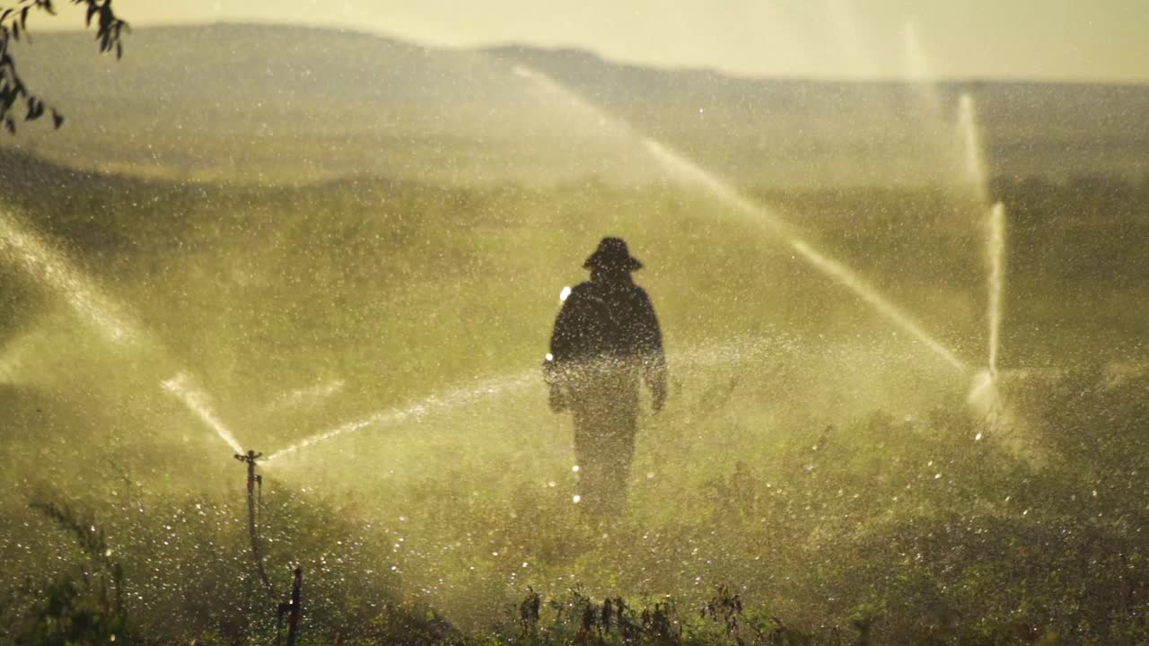 Farmer walking in the field in slow motion.