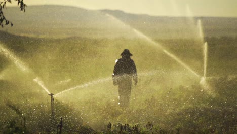 Farmer-walking-in-the-field-in-slow-motion.