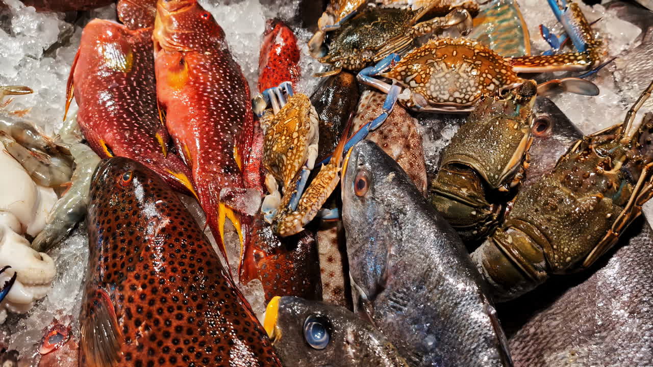 Fresh fish market seafood variety marine throat king prawns crabs under ice