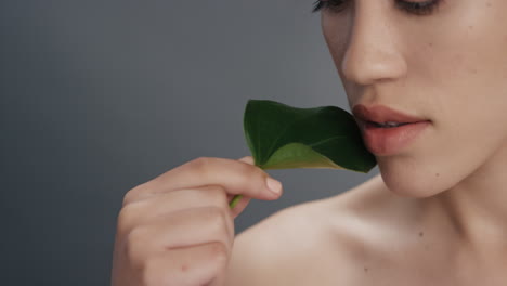 close up portrait sexy young woman touching body with leaf caressing smooth healthy skin complexion enjoying playful natural beauty on grey background skincare concept