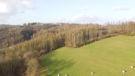 Revealing-shot-of-deforestation-within-the-german-countryside