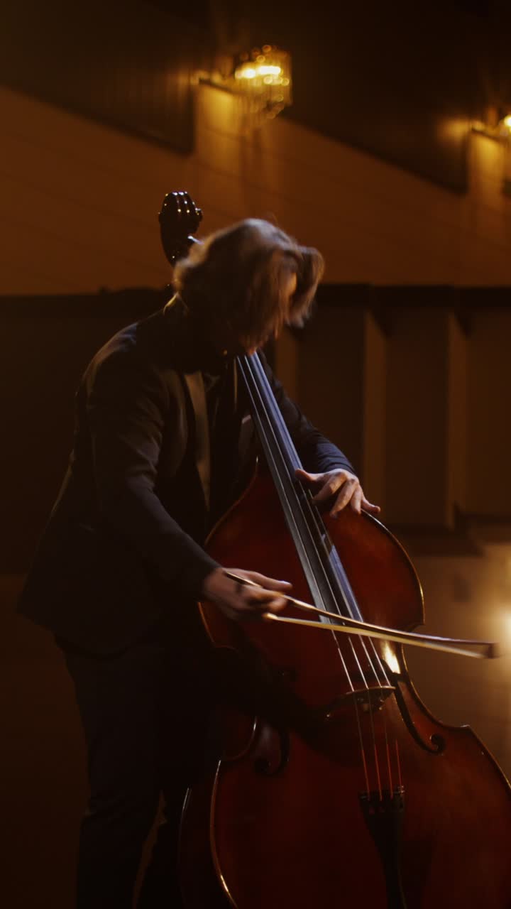 콘서트 홀 의 더블 베이스 연주자