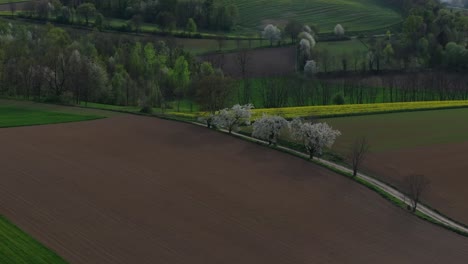 Amante-De-Los-Campos-De-Silesia-En-Polonia