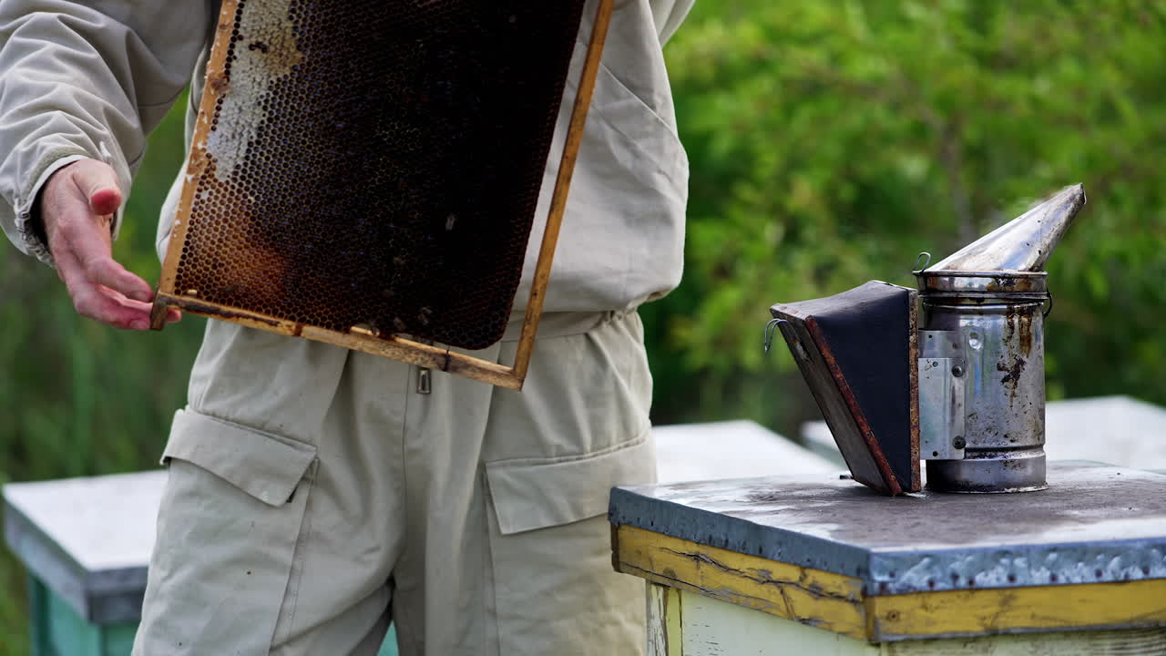 Unrecognized man rotating a honey frame with dark wax in his hands. Smoker is standing on the bee hive next to a man. Blurred nature backdrop.
