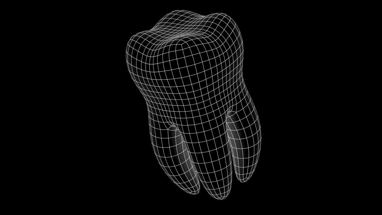 Tooth. Looping footage has 4K resolution.