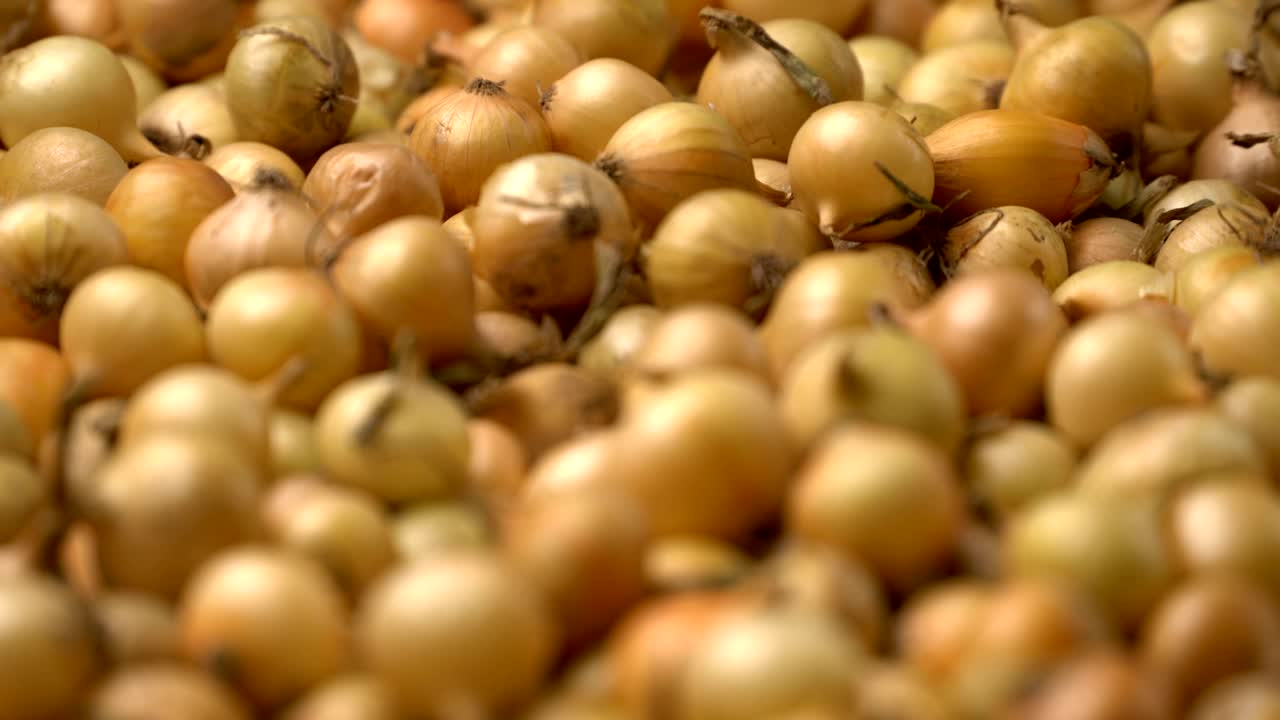 Filmato: cipolle bianche in rotazione su sfondo