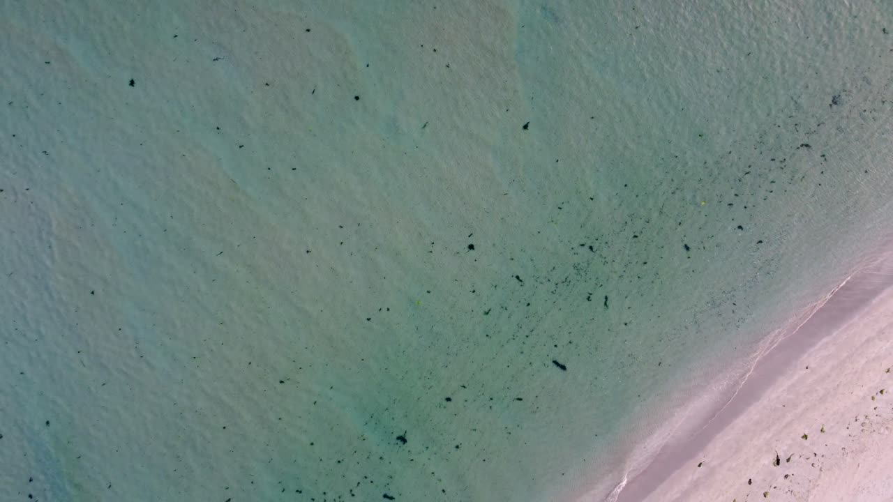 olas de agua azul y tranquila en arena blanca por drones