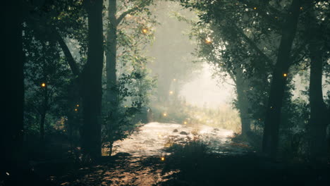 mystical forest with fog and shining behind trees