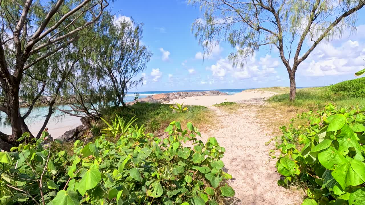Camera moves along sandy path through greenery toward sunny beach, ocean, and blue sky