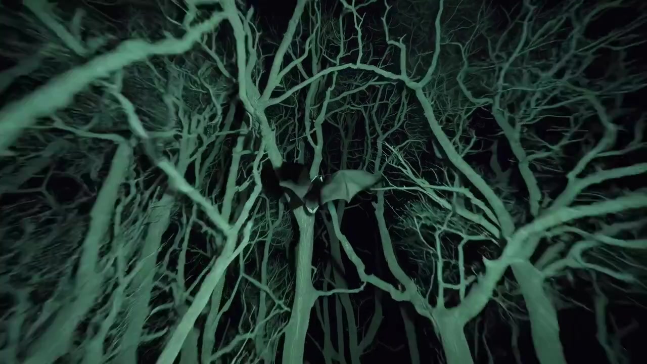 Pipistrello che vola attraverso una foresta inquietante di notte con visione notturna verde