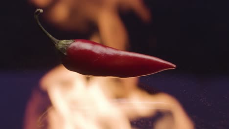 red chili pepper on dark background