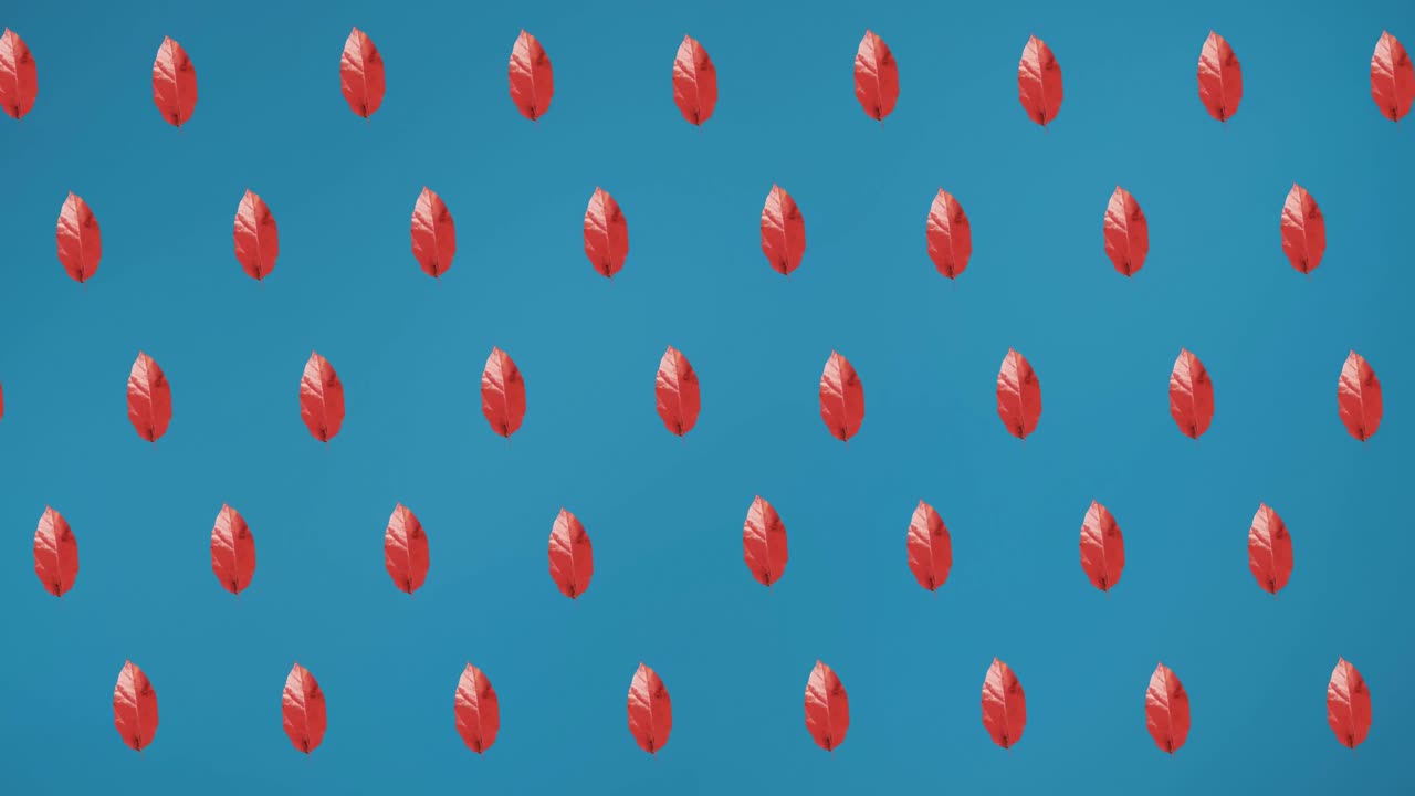 파란색 배경에 가을  ⁇ 은 잎의 줄의 애니메이션