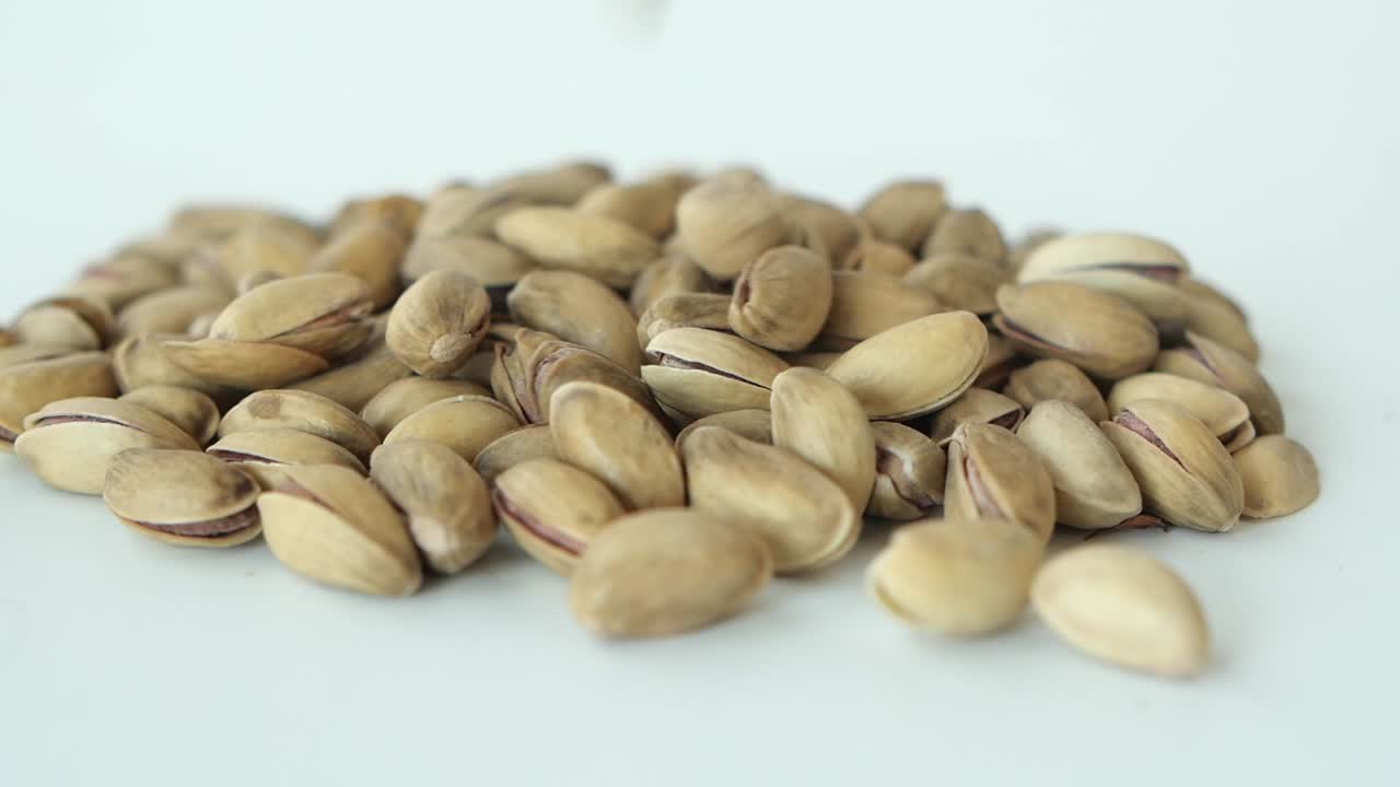 피스타치오 어리