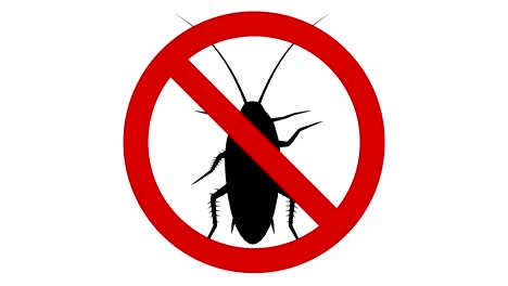 cockroach pest in prohibited sign, cg animation