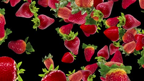falling strawberries background, loop,  60fps, with alpha channel
