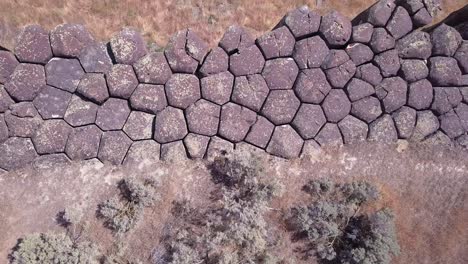 las moscas aéreas sobre las cimas de las columnas de basalto expuestas que forman el acantilado de scablands