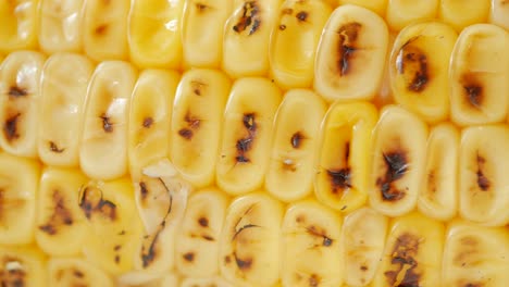 Sweet-corns-on-white-background-close-up-,