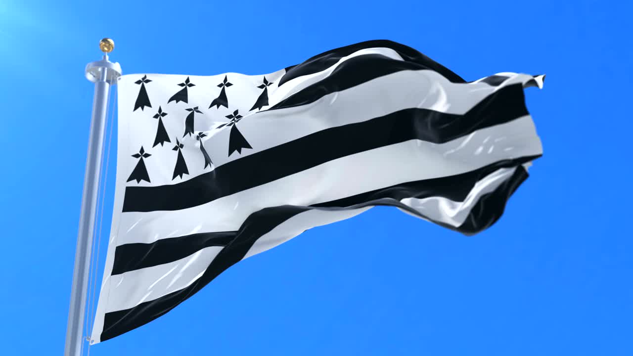 영국 발이 파란 하늘과 함께 느리게 바람에 흔들리고, 루프